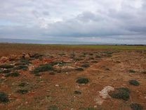 قطعة الأرض للبيع 500م² موقع أول على البحر غرمان الهوارية