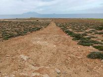 قطعة الأرض للبيع 500م² موقع أول على البحر غرمان الهوارية