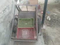 Barwita ibzoz a3jeli forza ndhifa barcha