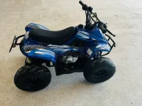 Quad 125cc carte grise