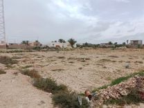 Terrain à Kerkennah 1100m2 à kraten Kerkennah