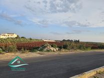 Terrain agricole 100000 m² à Libna