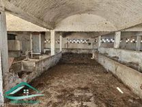 Terrain agricole 14280 m²  à Kelibia