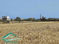 Terrain agricole 14280 m²  à Kelibia