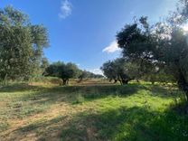 Terrain agricole en vente