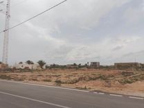 Terrain AV KRATEN Kerkennah أرض بالقراطن قرقنة