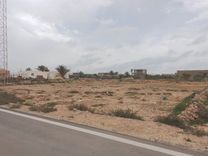 Terrain AV KRATEN Kerkennah أرض بالقراطن قرقنة