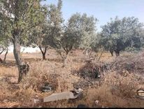 Terrain constructible mnihla