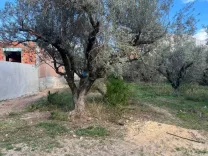 Terrain à Hamam-lif