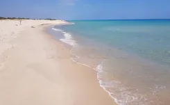 A Vendre Terrain à TAZARKA titré 373m²