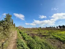 Senya 12 500 m² à Tazarka Nabeul