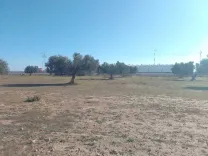 Terrain première position sfax  rte gabes